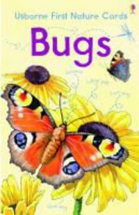 Produktbild: Bone, E: Nature Cards: Bugs