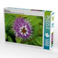 Produktbild: Ein Motiv aus dem Kalender Bl&uuml;tenkosmos (Puzzle)