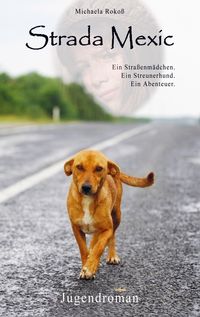 Produktbild: Strada Mexic
