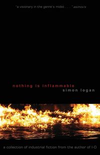 Produktbild: Nothing Is Inflammable