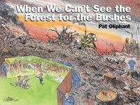 Produktbild: Oliphant, P: When We Can't See the Forest for the Bushes