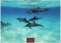 Produktbild: Wale und Delfine Kalender 2027 &ndash; Wandkalender | Fotokalender Tierkalender 24x35cm - Hochwertige Fotografien von Walen und Delfinen, die jeden Monat begeistern.