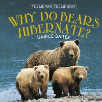 Produktbild: Why Do Bears Hibernate