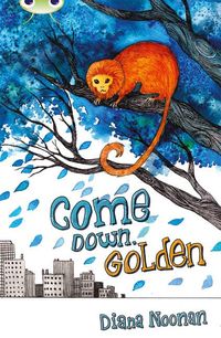 Produktbild: Bug Club Independent Fiction Year 3 Brown A Come Down, Golden