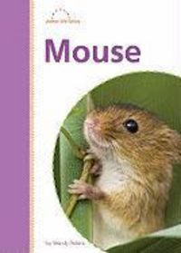 Produktbild: Mouse