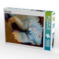 Produktbild: CALVENDO Puzzle Gr&uuml;ner Leguan | 1000 Teile Lege-Gr&ouml;&szlig;e 64x48cm Foto-Puzzle f&uuml;r gl&uuml;ckliche Stunden