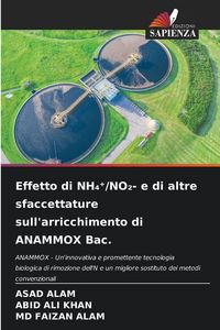 Produktbild: Effetto di NH&iquest;&iquest;/NO&iquest;- e di altre sfaccettature sull'arricchimento di ANAMMOX Bac.
