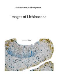 Produktbild: Images of Lichinaceae