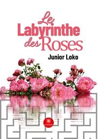 Produktbild: Le labyrinthe des roses