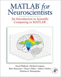 Produktbild: MATLAB for Neuroscientists