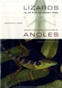 Produktbild: Lizards in an Evolutionary Tree: Ecology and Adaptive Radiation of Anoles