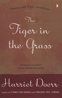 Produktbild: The Tiger in the Grass