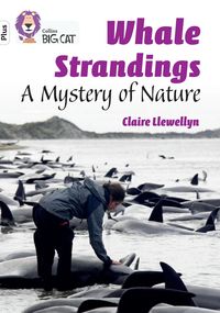 Produktbild: Whale Strandings: A Mystery of Nature