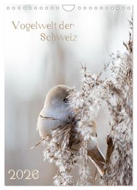 Produktbild: Vogelwelt der Schweiz (Wandkalender 2026 DIN A4 hoch), CALVENDO Monatskalender