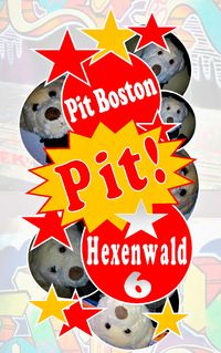 Produktbild: Pit! Hexenwald