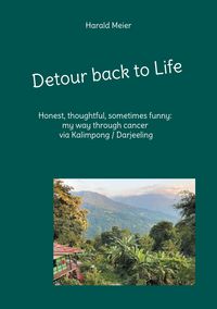 Produktbild: Detour back to Life