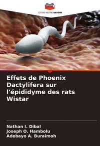 Produktbild: Effets de Phoenix Dactylifera sur l'&eacute;pididyme des rats Wistar