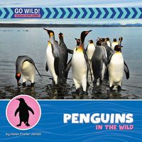Produktbild: Penguins in the Wild