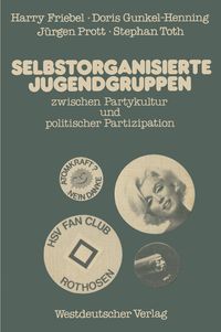 Produktbild: Selbstorganisierte Jugendgruppen zwischen Partykultur und politischer Partizipation