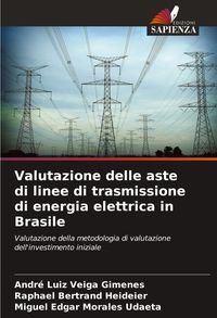 Produktbild: Valutazione delle aste di linee di trasmissione di energia elettrica in Brasile