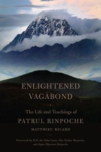 Produktbild: Ricard, M: Enlightened Vagabond