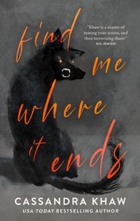 Produktbild: Find Me Where It Ends