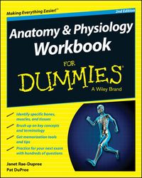Produktbild: Anatomy and Physiology Workbook For Dummies