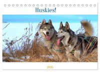 Produktbild: Huskies! (Tischkalender 2026 DIN A5 quer), CALVENDO Monatskalender