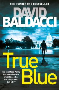Bild vom Artikel True Blue vom Autor David Baldacci