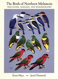 Produktbild: The Birds of Northern Melanesia