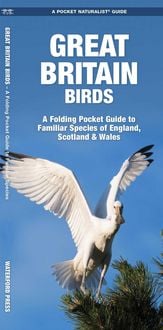 Produktbild: Great Britain Birds