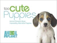 Produktbild: Too Cute Puppies Original/e