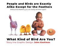 Produktbild: People and Birds are Exactly Alike Except for the Feathers