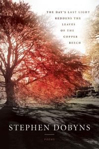 Produktbild: The Day's Last Light Reddens the Leaves of the Copper Beech