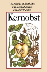 Produktbild: Kernobst