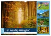 Produktbild: Der Waldspaziergang (Wandkalender 2026 DIN A3 quer), CALVENDO Monatskalender