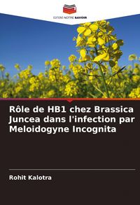 Produktbild: R&ocirc;le de HB1 chez Brassica Juncea dans l'infection par Meloidogyne Incognita