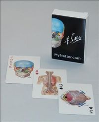 Produktbild: Netter Playing Cards