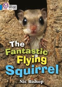 Produktbild: The Fantastic Flying Squirrel