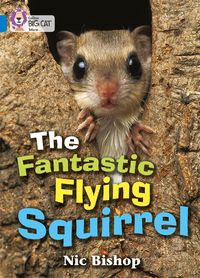 Produktbild: The Fantastic Flying Squirrel