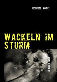 Produktbild: Wackeln im Sturm