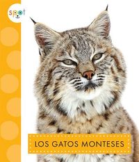Produktbild: Los Gatos Monteses