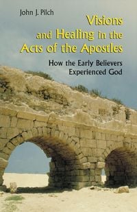 Produktbild: Visions and Healing in the Acts of the Apostles