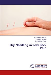 Produktbild: Dry Needling in Low Back Pain
