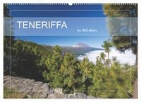 Produktbild: Teneriffa in Bildern (Wandkalender 2026 DIN A2 quer), CALVENDO Monatskalender