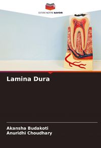 Produktbild: Lamina Dura