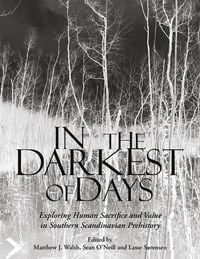 Produktbild: In the Darkest of Days