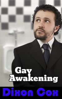 Produktbild: Gay Awakening