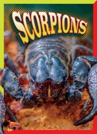 Produktbild: Scorpions
