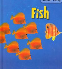 Produktbild: Fish